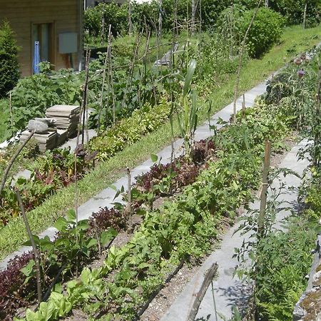 Eco-Hotel Cristallina Coglio Dış mekan fotoğraf