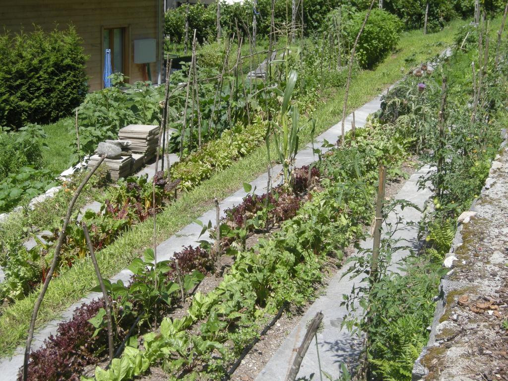 Eco-Hotel Cristallina Coglio Dış mekan fotoğraf