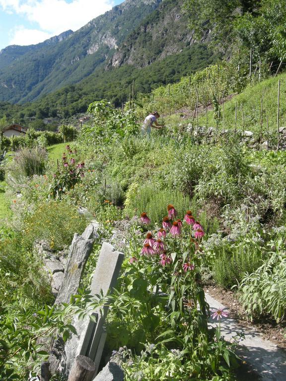 Eco-Hotel Cristallina Coglio Dış mekan fotoğraf