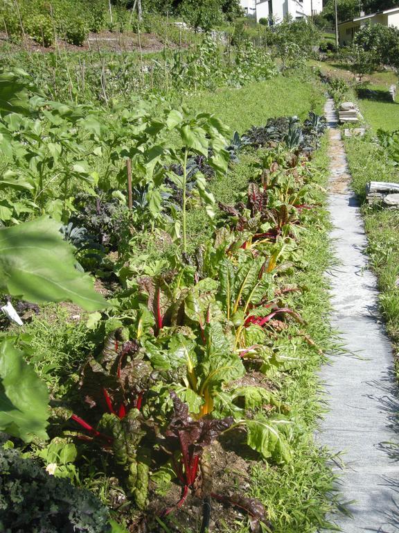 Eco-Hotel Cristallina Coglio Dış mekan fotoğraf